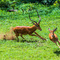 @ Ndarakwai Ranch, West Kilimanjaro